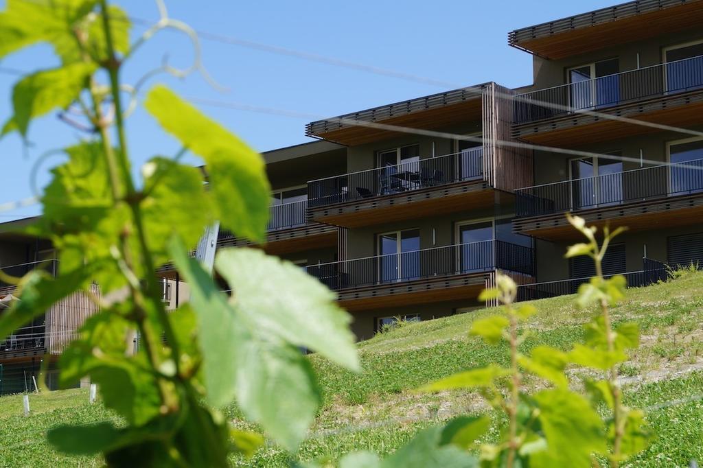 Relax Residence Suedsteiermark Ehrenhausen Pokoj fotografie